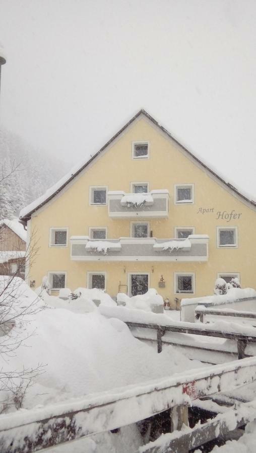Hofer Apartment